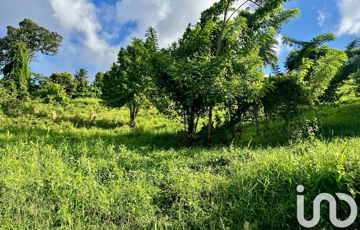 terrain  pièces 480 m2 à vendre à Le Lamentin (97232)