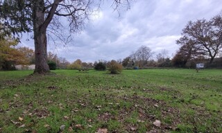 Photo N° 4