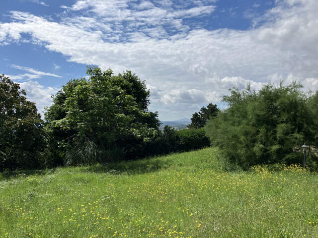 Terrain viabilisé au calme — photo du bien