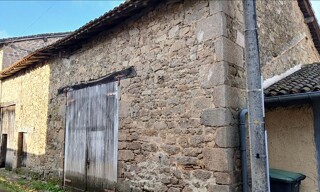 Photo N° 6