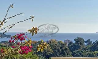 Maison 7 Pièces 210 m² à vendre à Le Lavandou (83980)