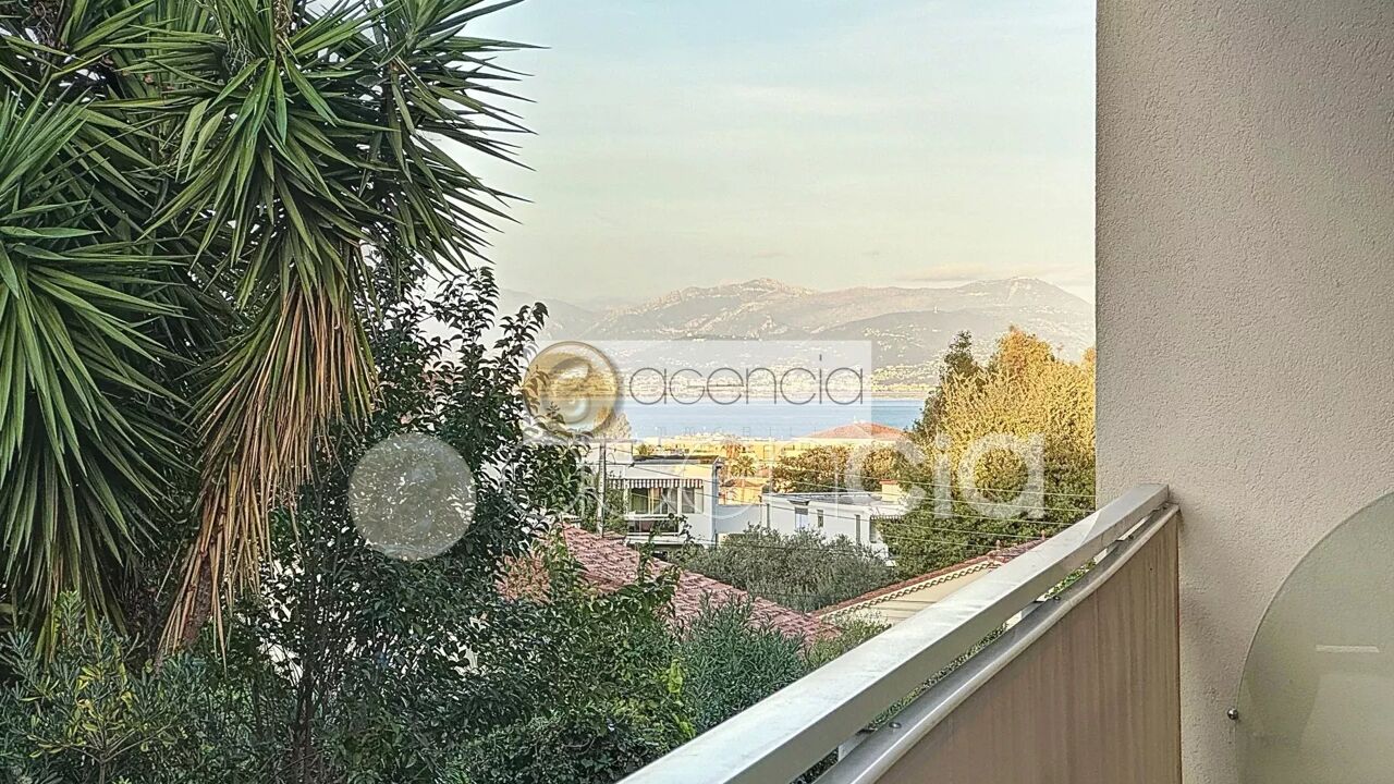 appartement 3 pièces 73 m2 à vendre à Antibes (06600)