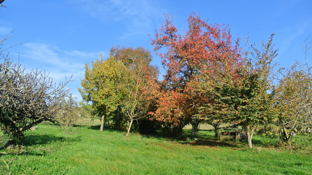 terrain  pièces 1250 m2 à vendre à Beaupuy (47200)