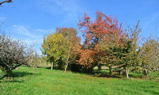 Terrain  1250 m² à vendre à Beaupuy (47200)