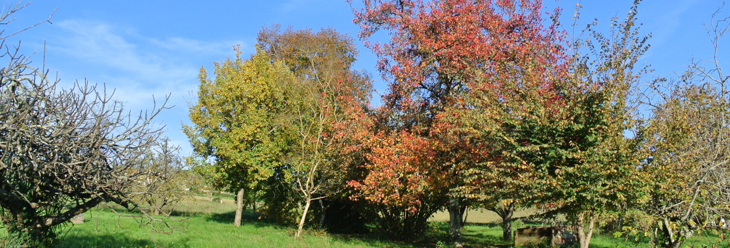 Terrain  1250 m² à vendre à Beaupuy (47200)