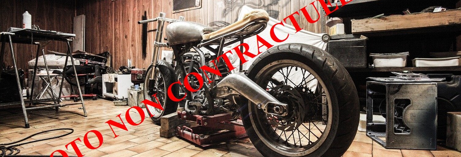 Commerce 4 Pièces 306 m² à vendre à Saint-Genis-Pouilly (01630)