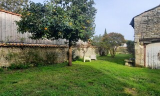 Photo N° 6
