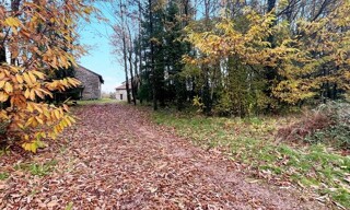 Photo N° 6