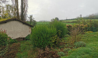 Photo N° 5