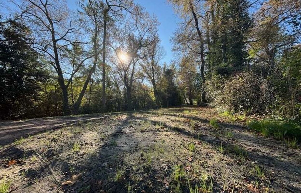 terrain  pièces 1680 m2 à vendre à Pauillac (33250)