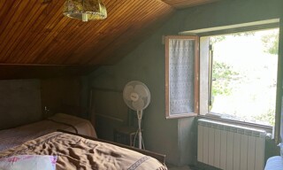 Photo N° 6