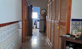 Photo N° 5