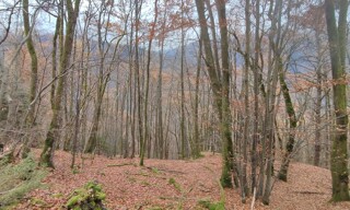 Terrain  61700 m² à vendre à Saint-Georges-d'Hurtières (73220)