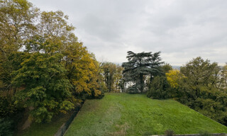 Photo N° 7