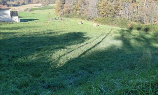 Photo N° 3
