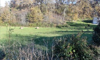 Photo N° 4