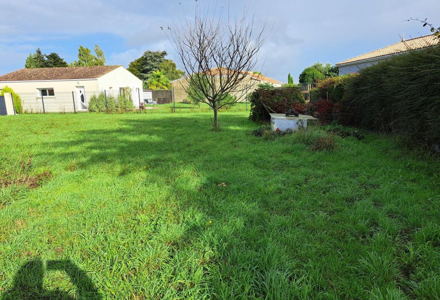 Terrain À Vendre — photo 1