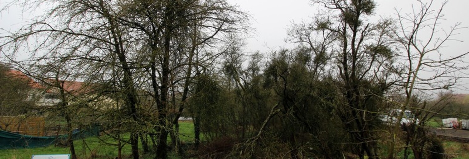 Terrain  867 m² à vendre à Lelling (57660)