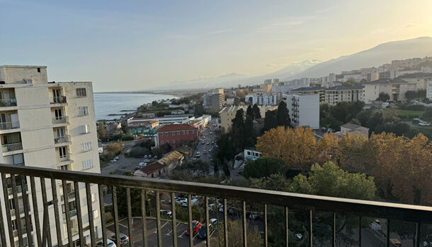 Appartement 3 pièces  à louer Bastia 20600