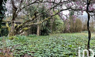 Photo N° 3
