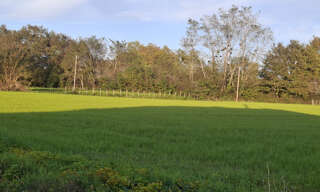 Terrain  5163 m² à vendre à Athos-Aspis (64390)