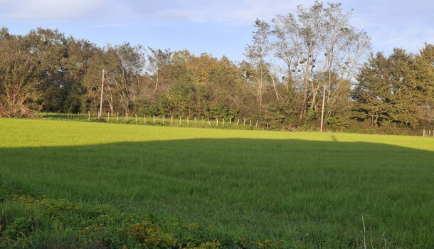 Terrain  à vendre Athos-Aspis 64390