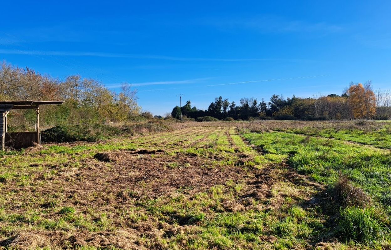 terrain  pièces 1000 m2 à vendre à Pineuilh (33220)