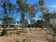 Terrain - 429 — photo 2