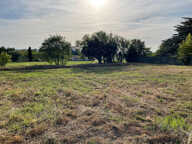 Terrain - 377 — photo 3