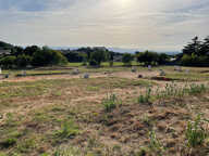 Terrain - 377 — photo 4