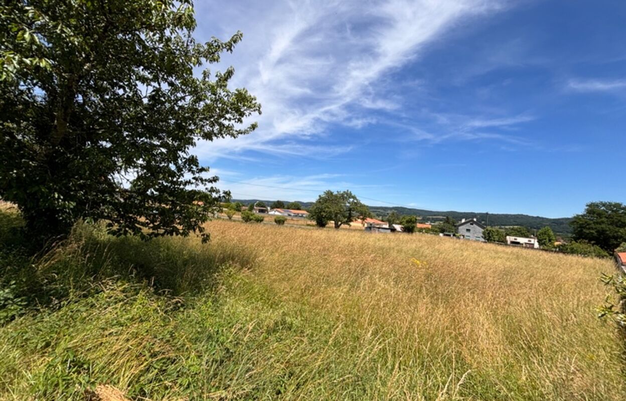 terrain  pièces 1960 m2 à vendre à Bordes (65190)