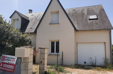 vente maison 228 700 € à proximité de Dolus-le-Sec (37310)