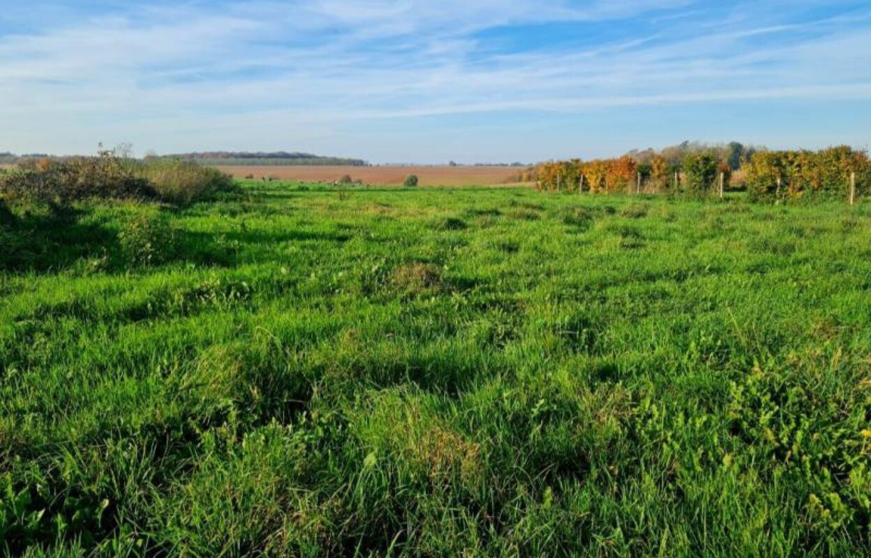 terrain  pièces 1013 m2 à vendre à Flers (62270)