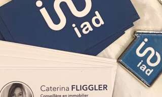 Commerce  133 m² à vendre à La Roche-Posay (86270)