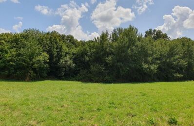 vente terrain 153 500 € à proximité de Villenave-de-Rions (33550)