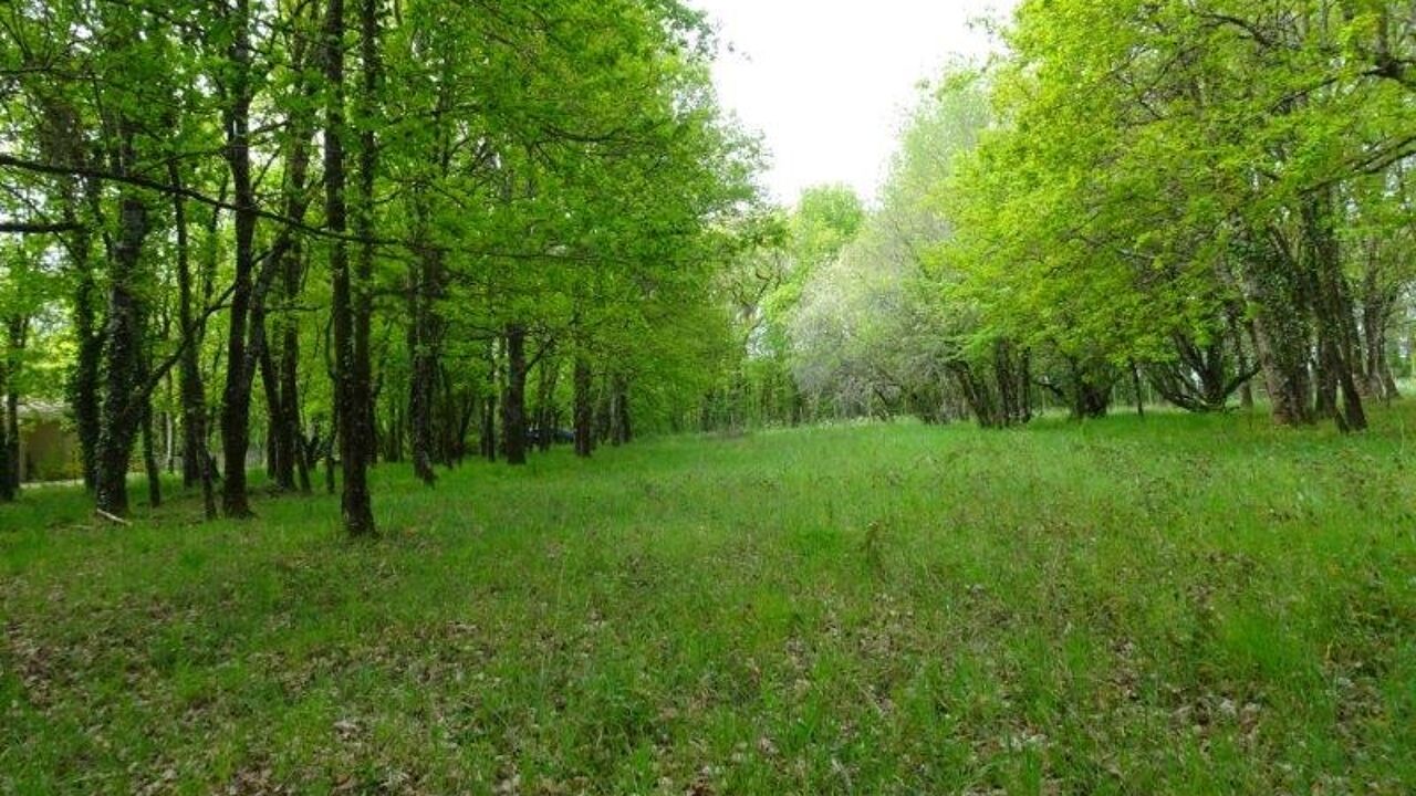 terrain  pièces 1600 m2 à vendre à Cartelègue (33390)