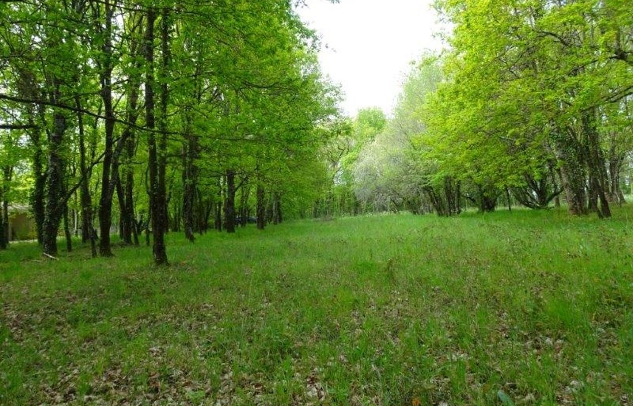 terrain  pièces 1600 m2 à vendre à Cartelègue (33390)