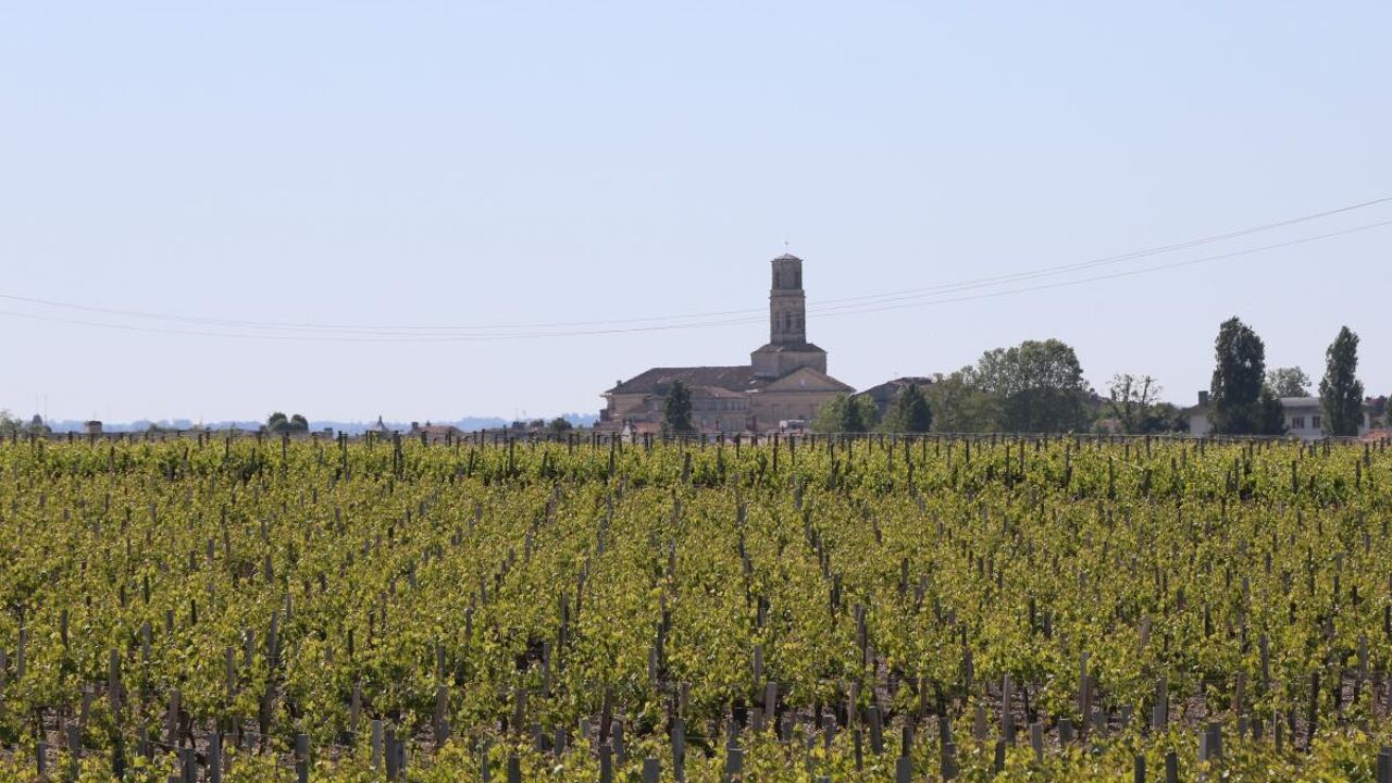 terrain 646 m2 à construire à Ludon-Médoc (33290)