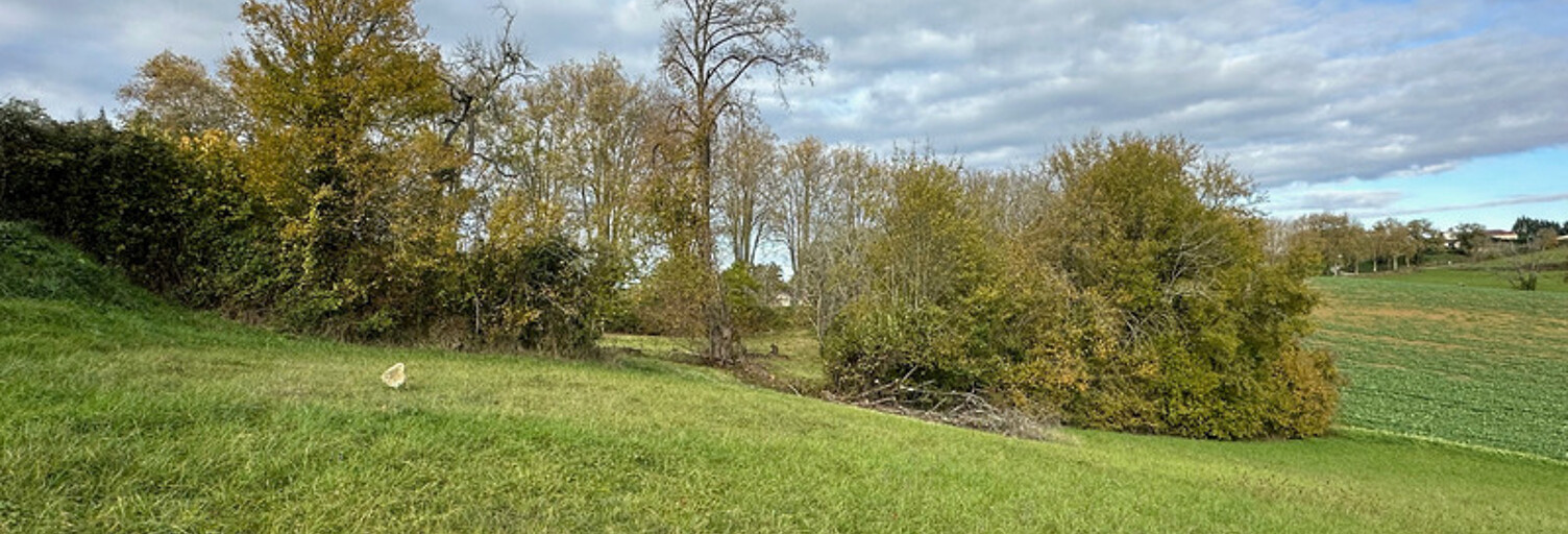 Terrain  6005 m² à vendre à Belmont (32190)