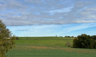 Photo N° 4