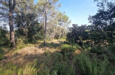 vente terrain 189 000 € à proximité de Le Cannet-des-Maures (83340)