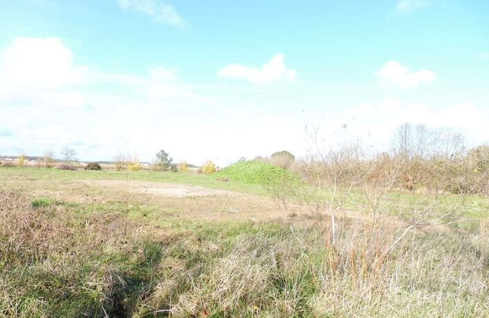 Vente terrain  5219 m² Sainte-Catherine-de-Fierbois (37800) — photo 3