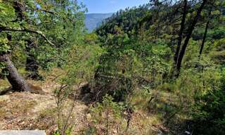 Terrain  1763 m² à vendre à Toudon (06830)