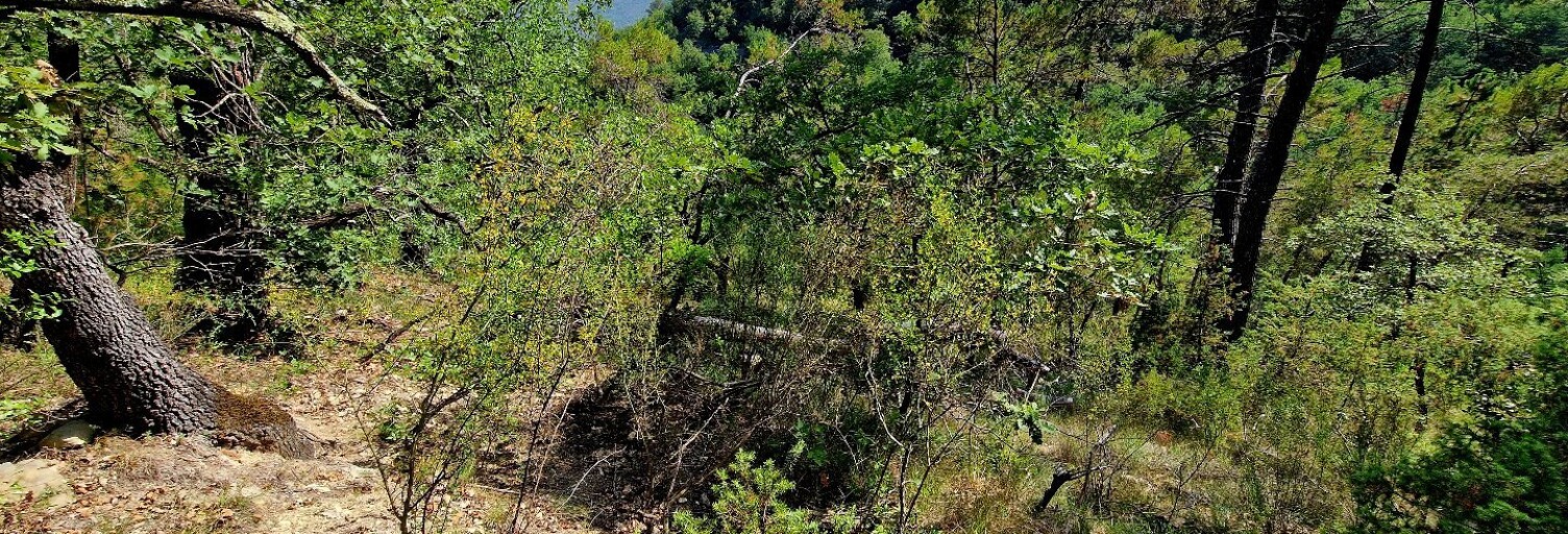 Terrain  1763 m² à vendre à Toudon (06830)