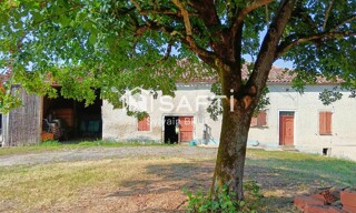 Photo N° 3
