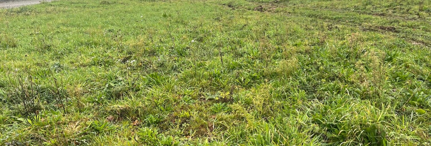 Terrain  571 m² à vendre à Malestroit (56140)