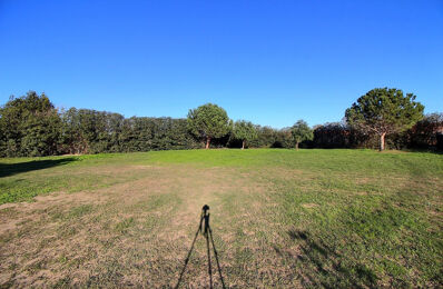 terrain  pièces 701 m2 à vendre à Elne (66200)