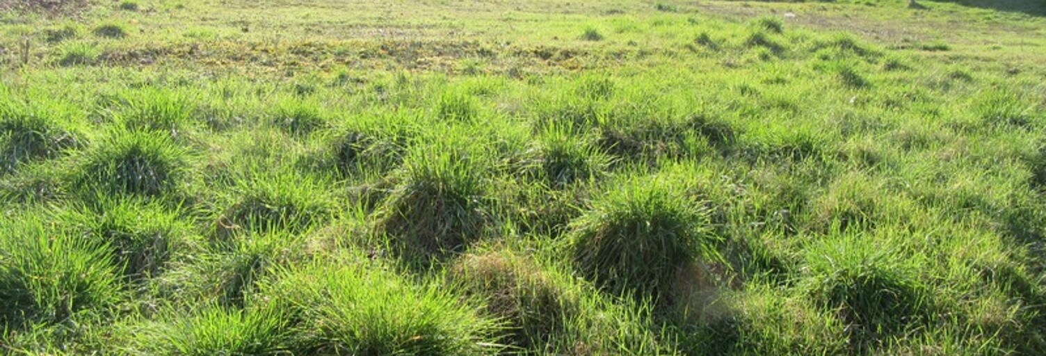 Terrain  890 m² à vendre à Ars-sur-Moselle (57130)