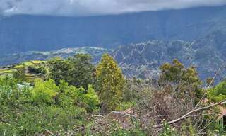 Maison 3 Pièces 57 m² à vendre à Cilaos (97413)