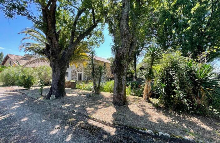 Propriété de 2 maisons sur plus de 1 hectare — photo 4